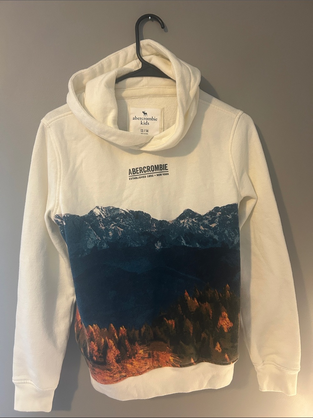 Abercrombie Kid’s 13/14 (YXL) White Hoodie with Mountain Print
